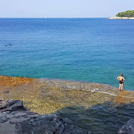 شقة Family-friendly With Swimming Pool - 24352 بولا